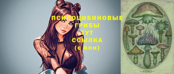 герыч Няндома