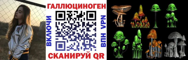 MEGA ссылки  Качканар  Галлюциногенные грибы GOLDEN TEACHER 